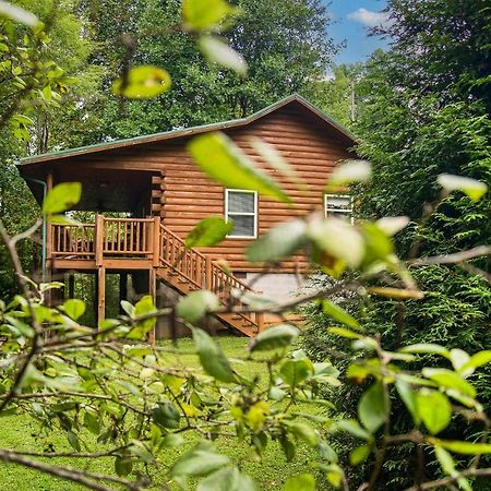 Fox Creek Waterside Cabin With Private Hot Tub! Villa Bryson City Exterior photo